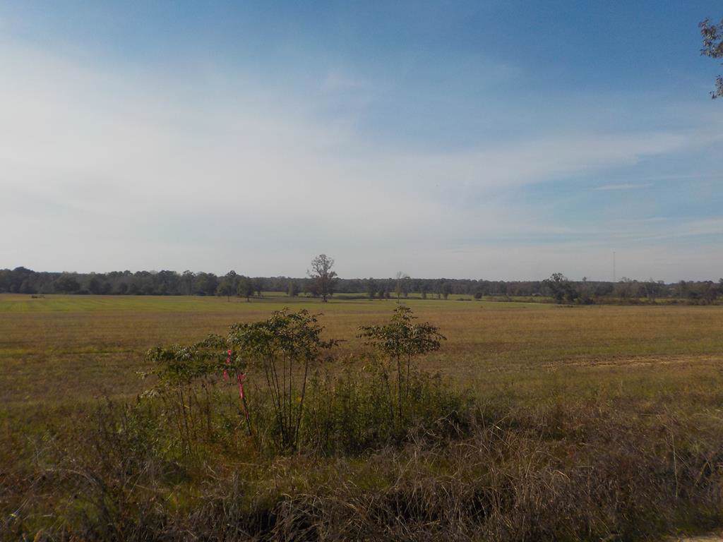 Lot 9, 1.5+-Ac, Reardon Rd - Photo 1
