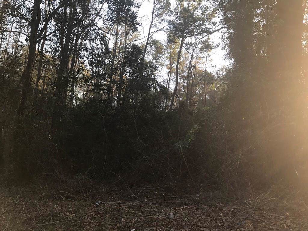 0 Emerald Street - Photo 1