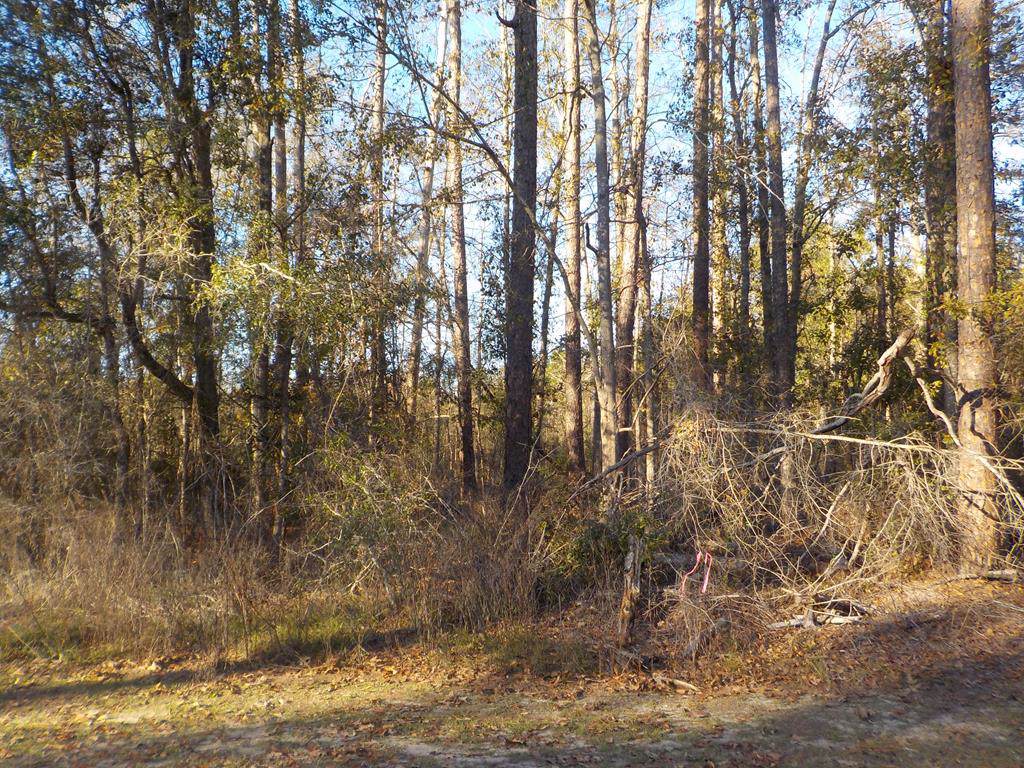 1.2+-ac Pine St - Photo 1