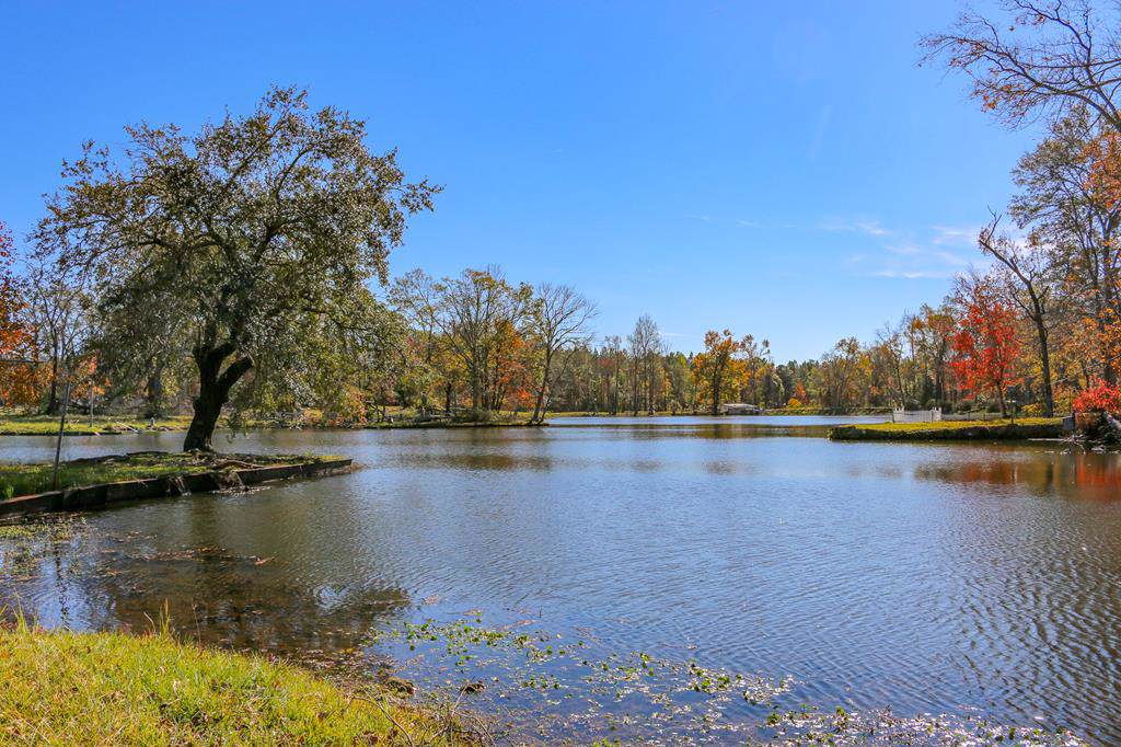 331 Moseley Farm Road - Photo 1