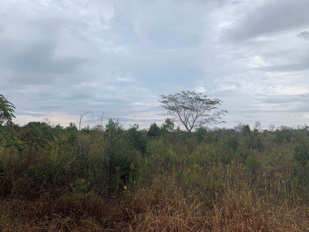 0 County Road 514 - Photo 1