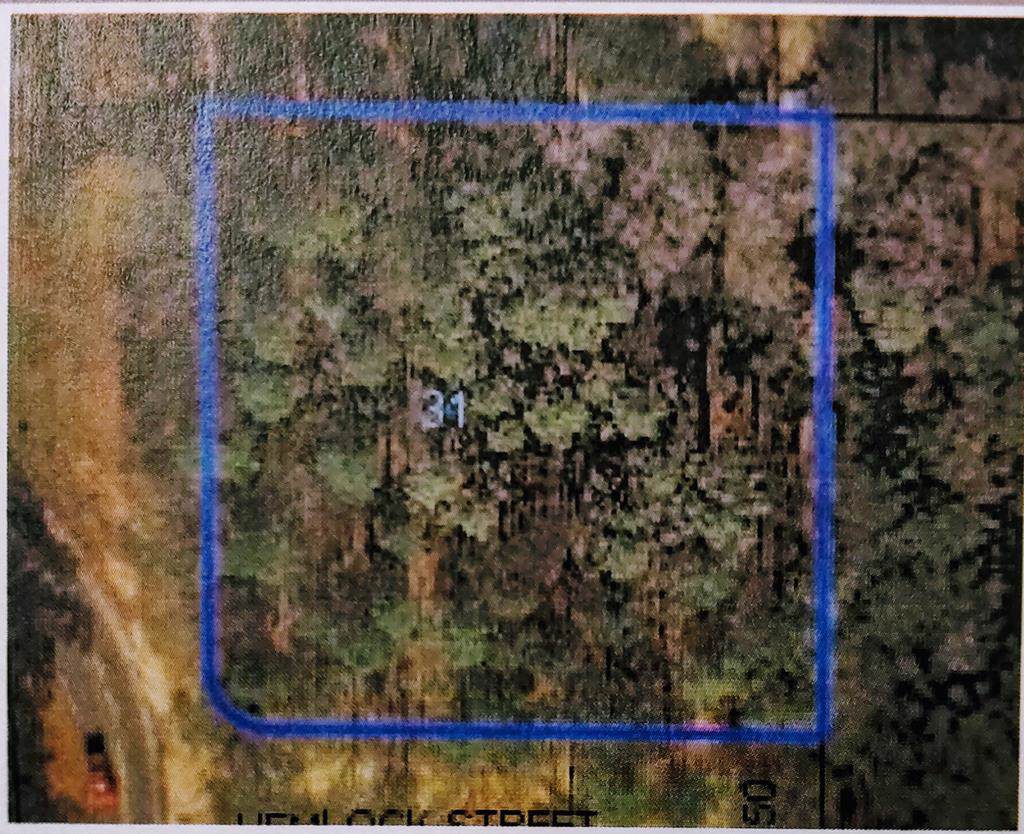 Lot 1 Blackman Road - Photo 1