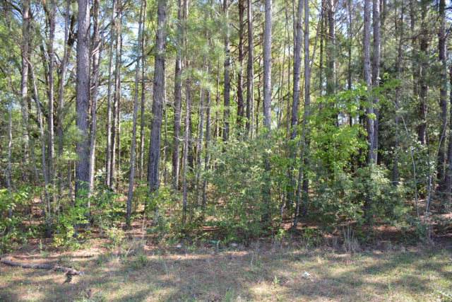 Lot 7 Forest Lake Drive - Photo 1