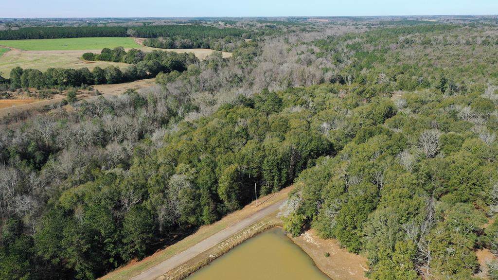 TBD Private Road 1702 - Photo 1