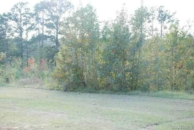 00 Mixon School Road - Photo 1