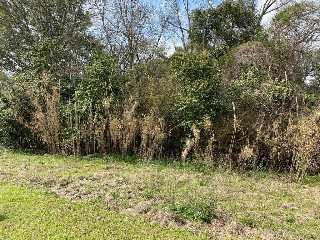 204 Savannah Drive - Photo 1
