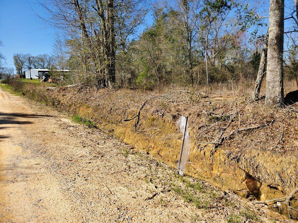 0000 Chipola Road - Photo 1