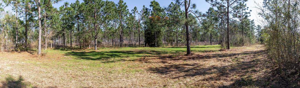 0 Pea Market Road/Odom Road/Bill Yance Road - Photo 1 0 Pea Market Road/Odom Road/Bill Yance Road - Photo 1