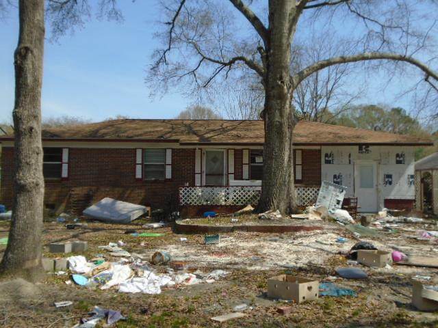 81 Pine Tree Lane - Photo 1