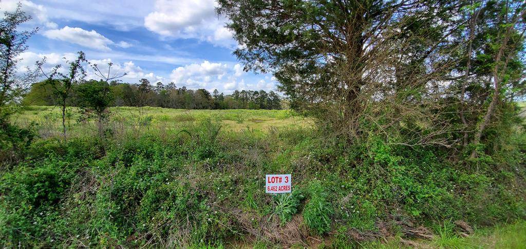 6.4 Acre North County Road 33 6.4 Acres Lot 3 - Photo 1