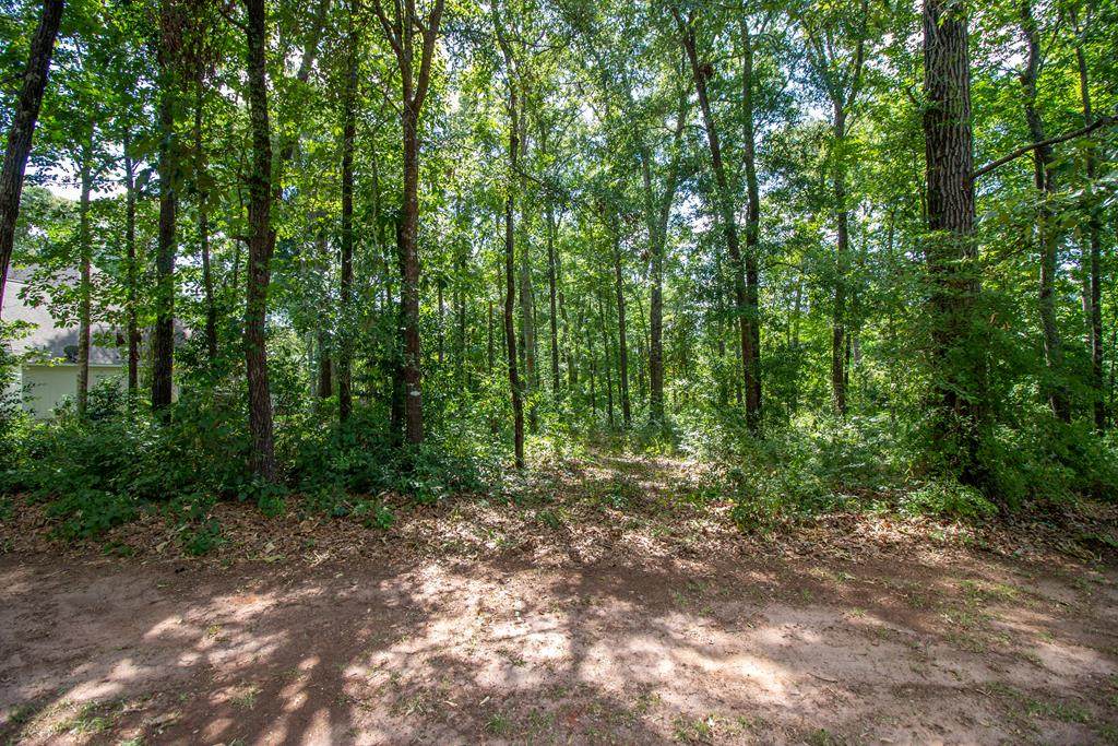 205 Bent Oak Drive - Photo 1