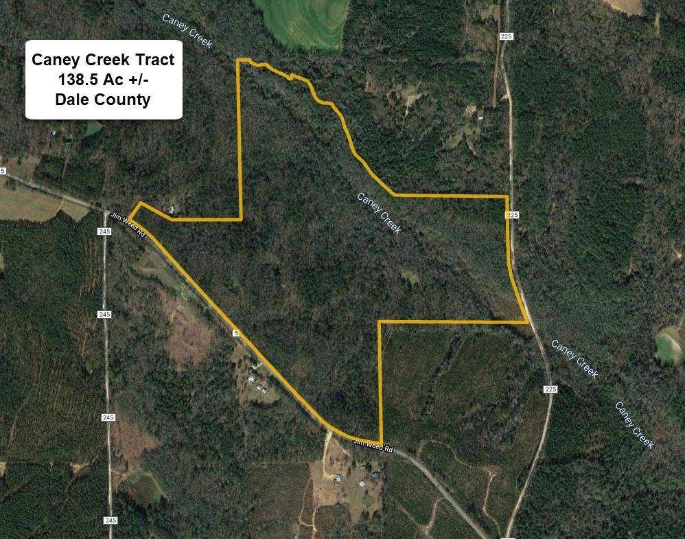 0 County Road 5 - Photo 1 0 County Road 5 - Photo 1