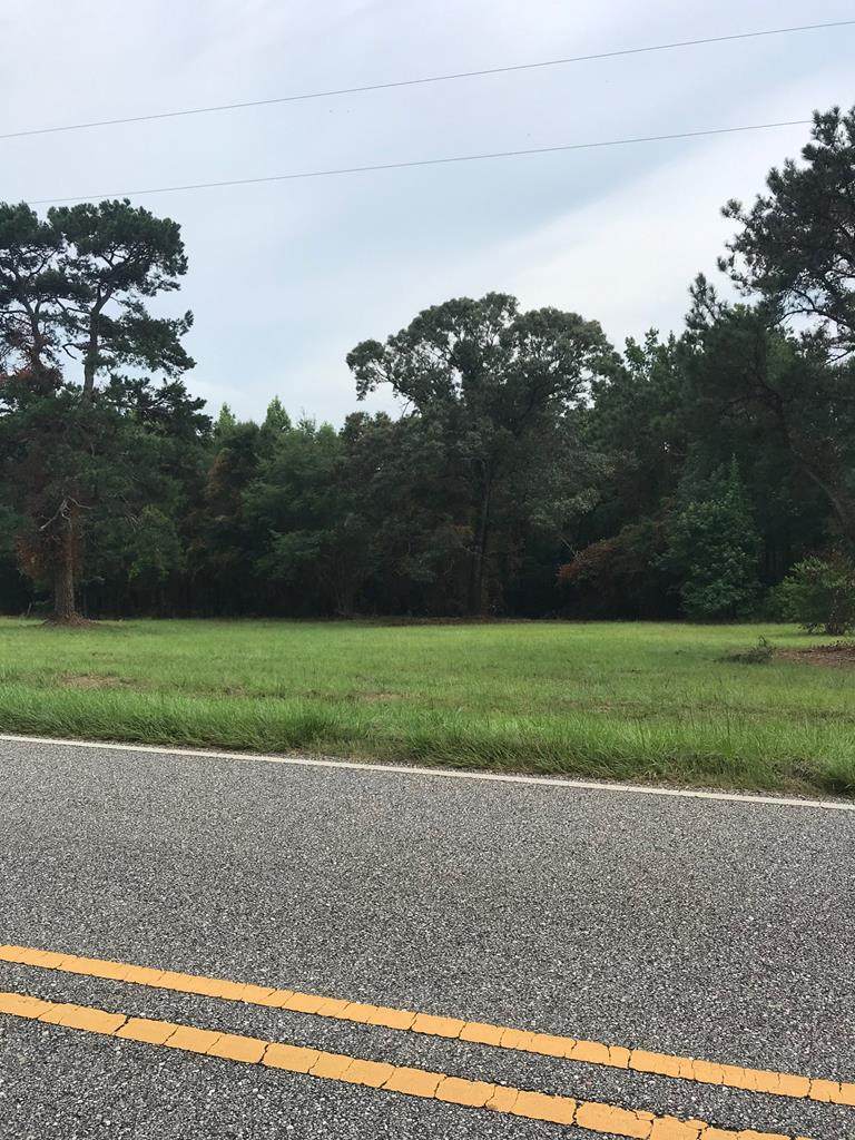 4406 County Road 364 - Photo 1