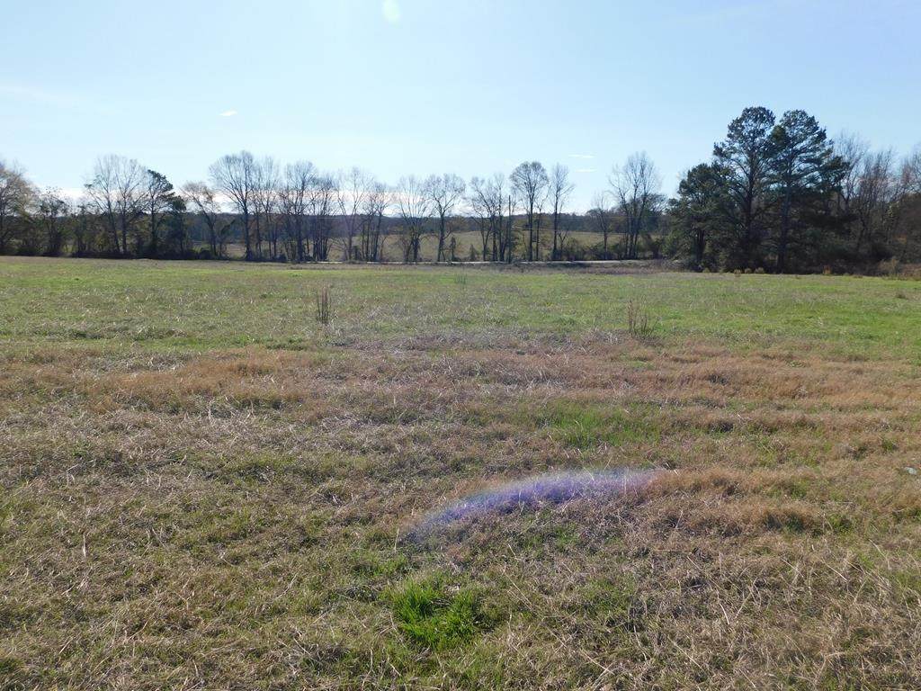 283 County Road 3314 - Photo 1
