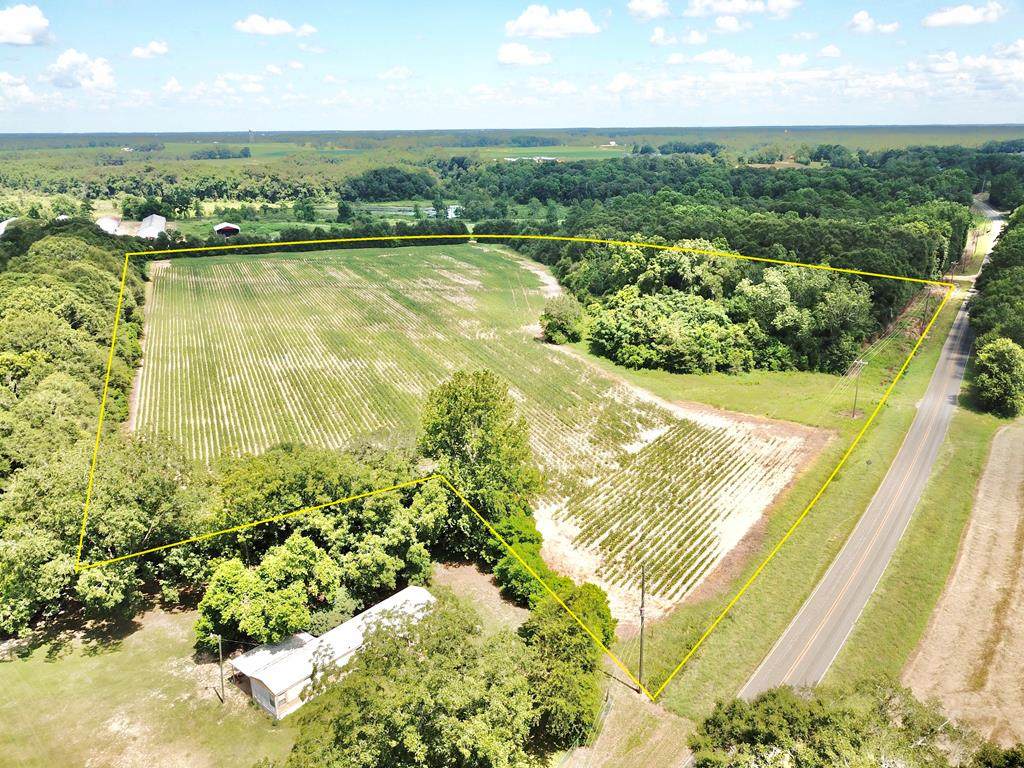 19 Acres County Road 21 - Photo 1