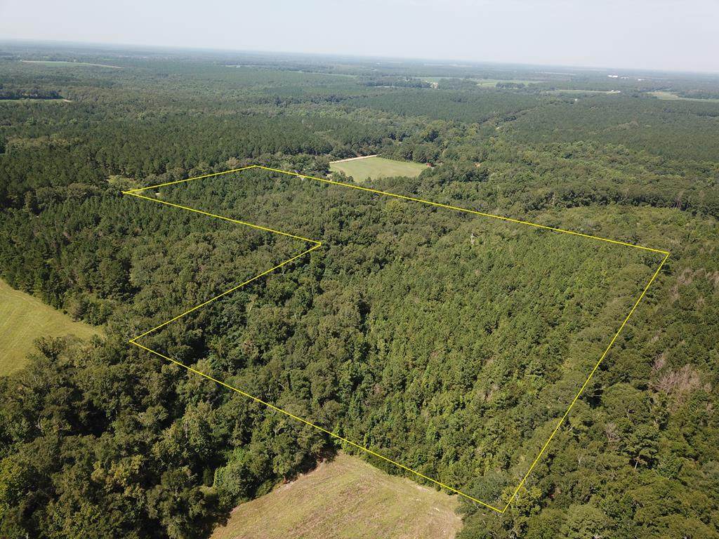 25 acres Coe Road - Photo 1