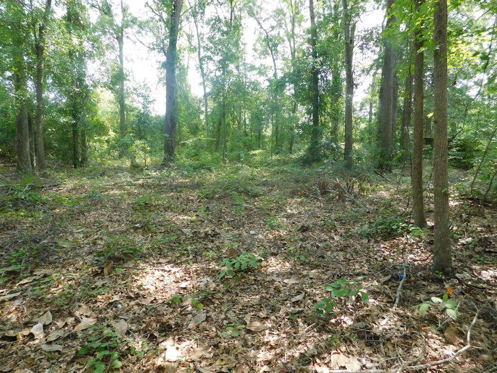 238 Primrose - Photo 1