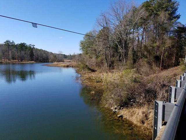 0 County Road 97 - Photo 1