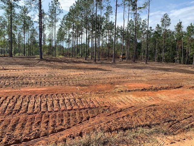 00 County Rd. 19 (Lot 4) - Photo 1