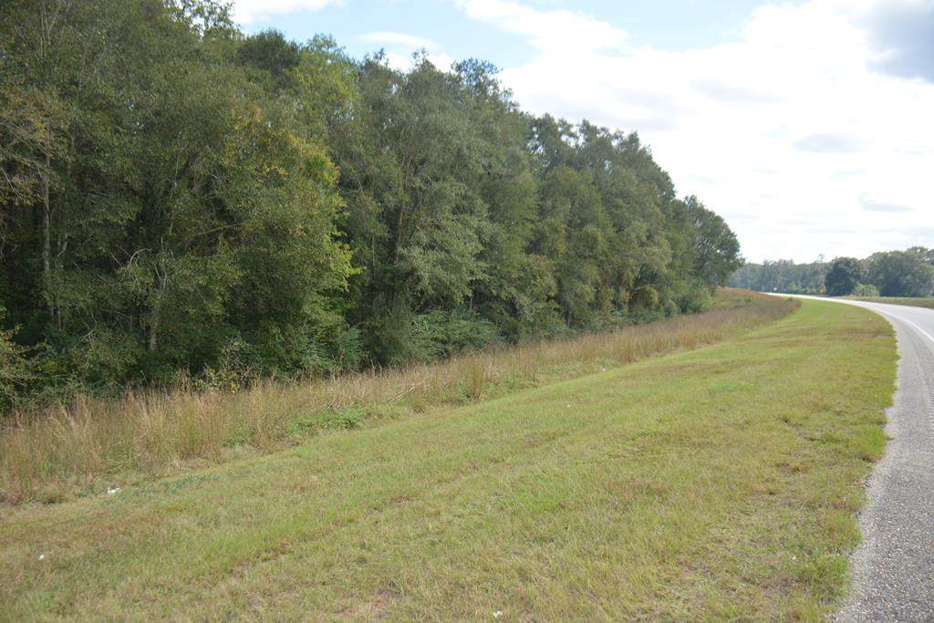 0 Boll Weevil Circle - Photo 1