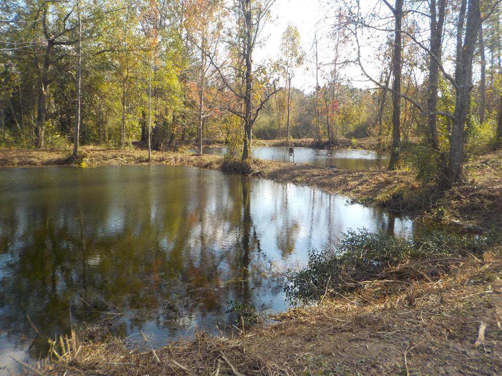 2338 D Hodge Rd - Photo 1