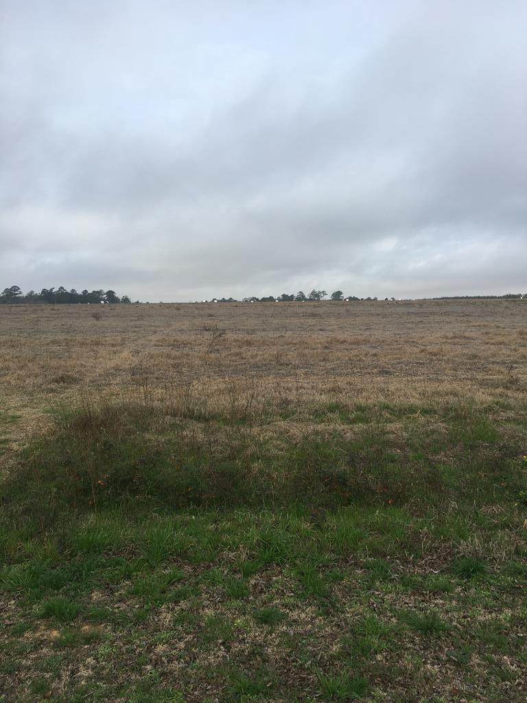Lot 1 County Road 13 - Photo 1