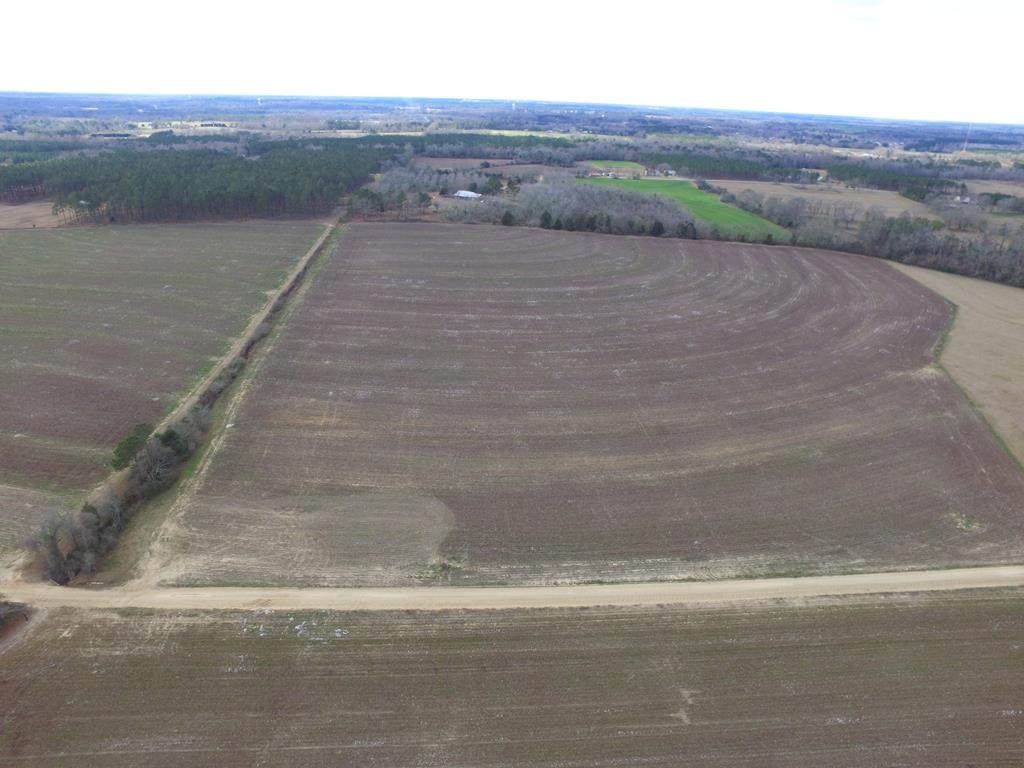 Lot 10 Jb Jackson Rd - Photo 1