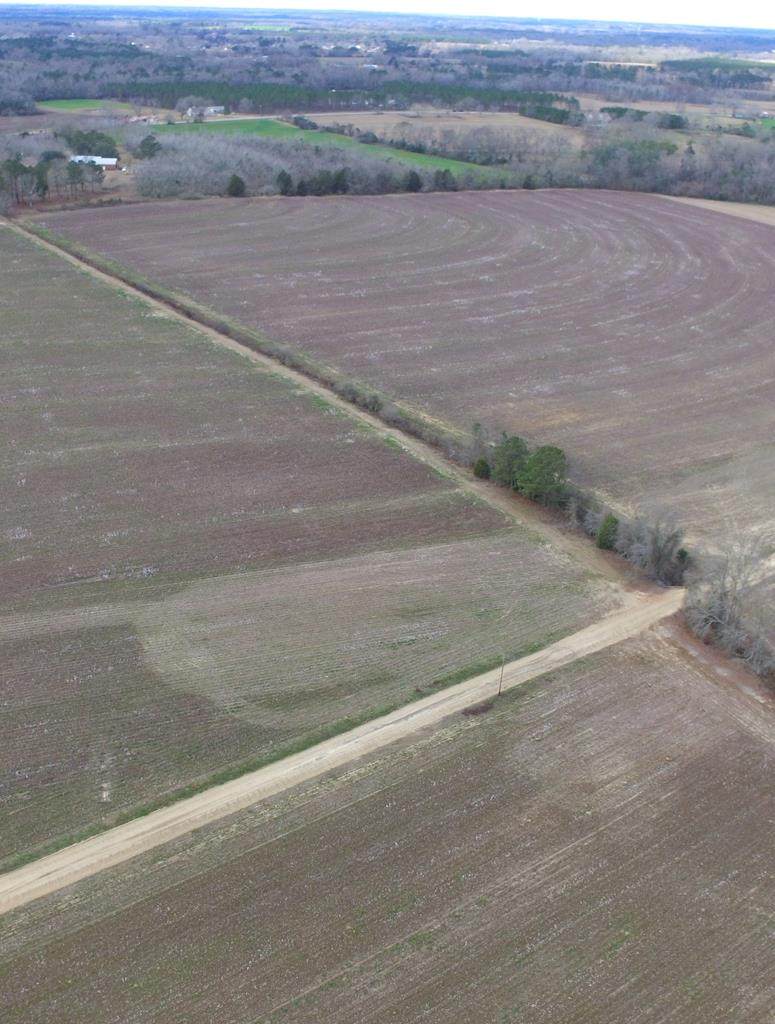 Lot 9A Jb Jackson Rd - Photo 1