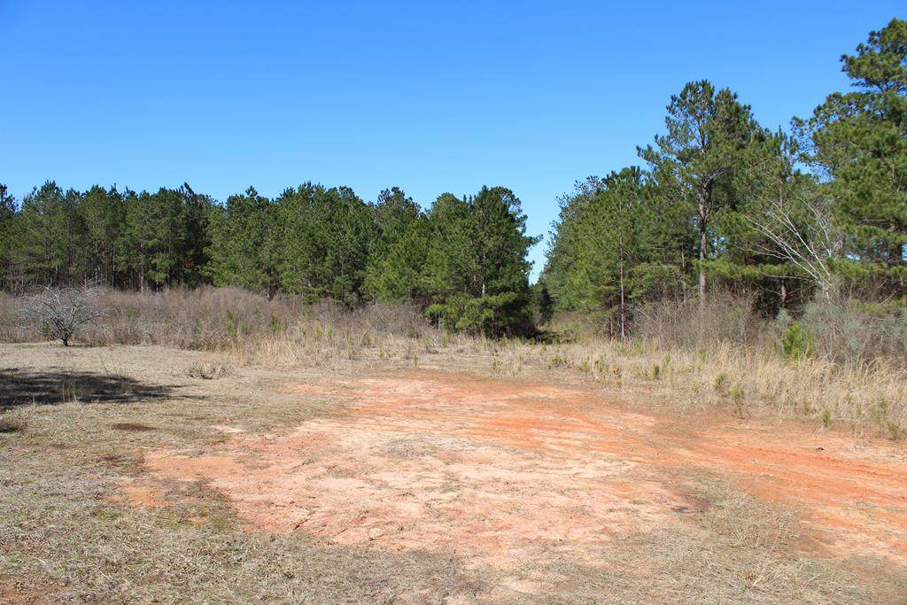 0 County Road 15 - Photo 1
