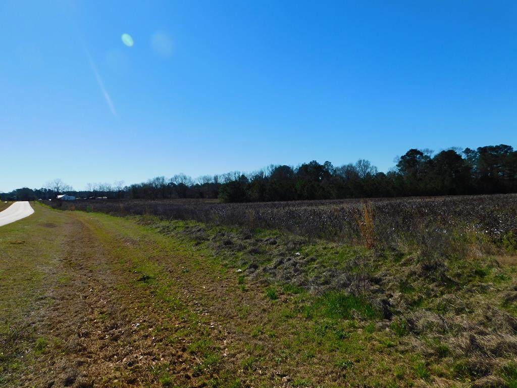 0 Singletary Road - Photo 1