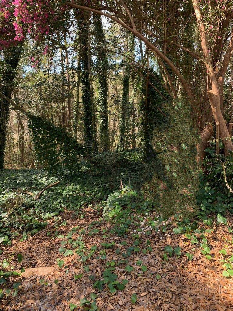 0 High Bluff Drive - Photo 1
