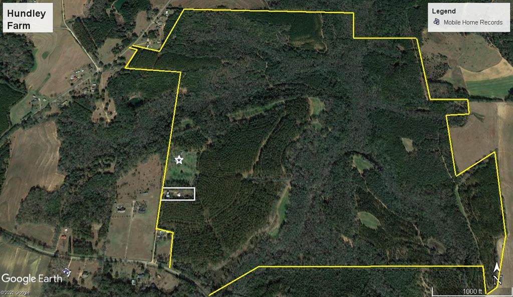 283 Dale Co Rd 533 - Photo 1