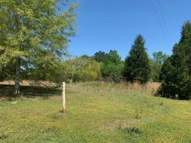 444 Otter Pond - Photo 1