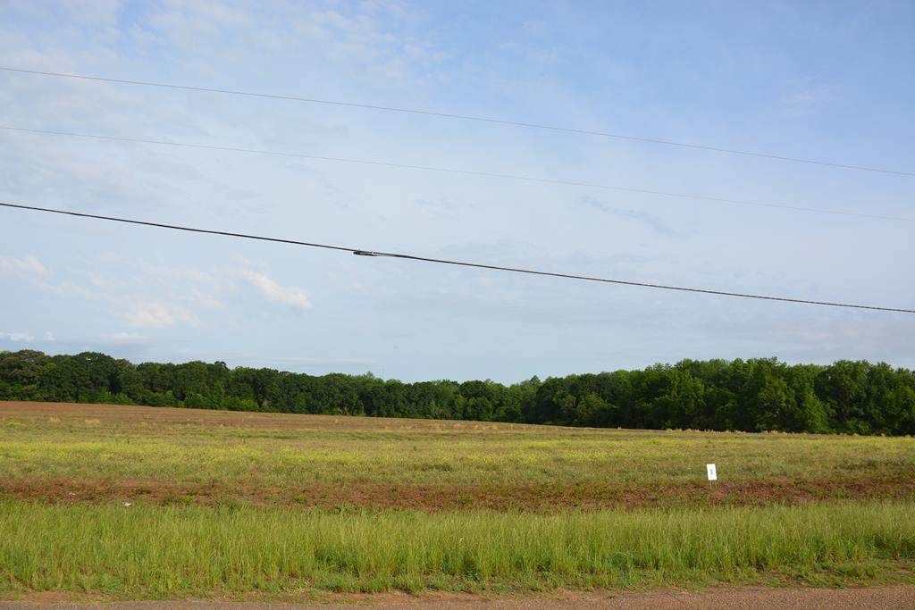 Lot 3 County Road 712 - Photo 1