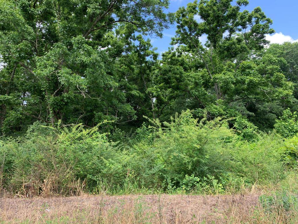 0 Corinth Rd - Photo 1