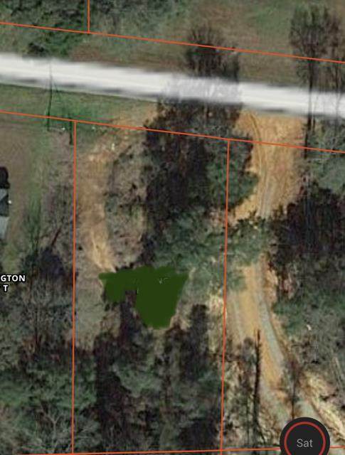 0 Hwy 60 - Photo 1