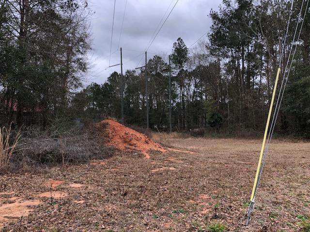 Lot A16 Ridgewood Dr - Photo 1