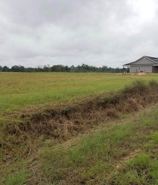 1689 Bj Mixon Rd - Photo 1