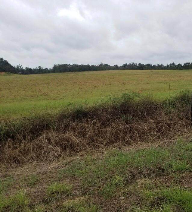 1763 Bj Mixon Rd - Photo 1