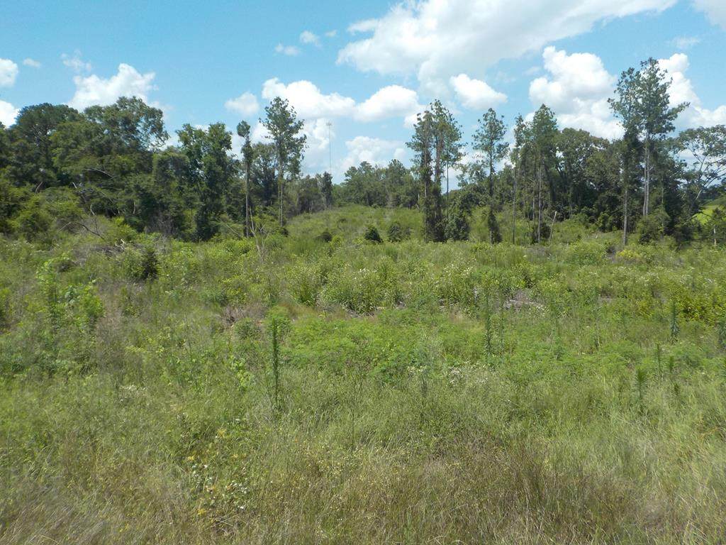 3.3+-ac Cty Rd 18/ Cty Rd 122 - Photo 1