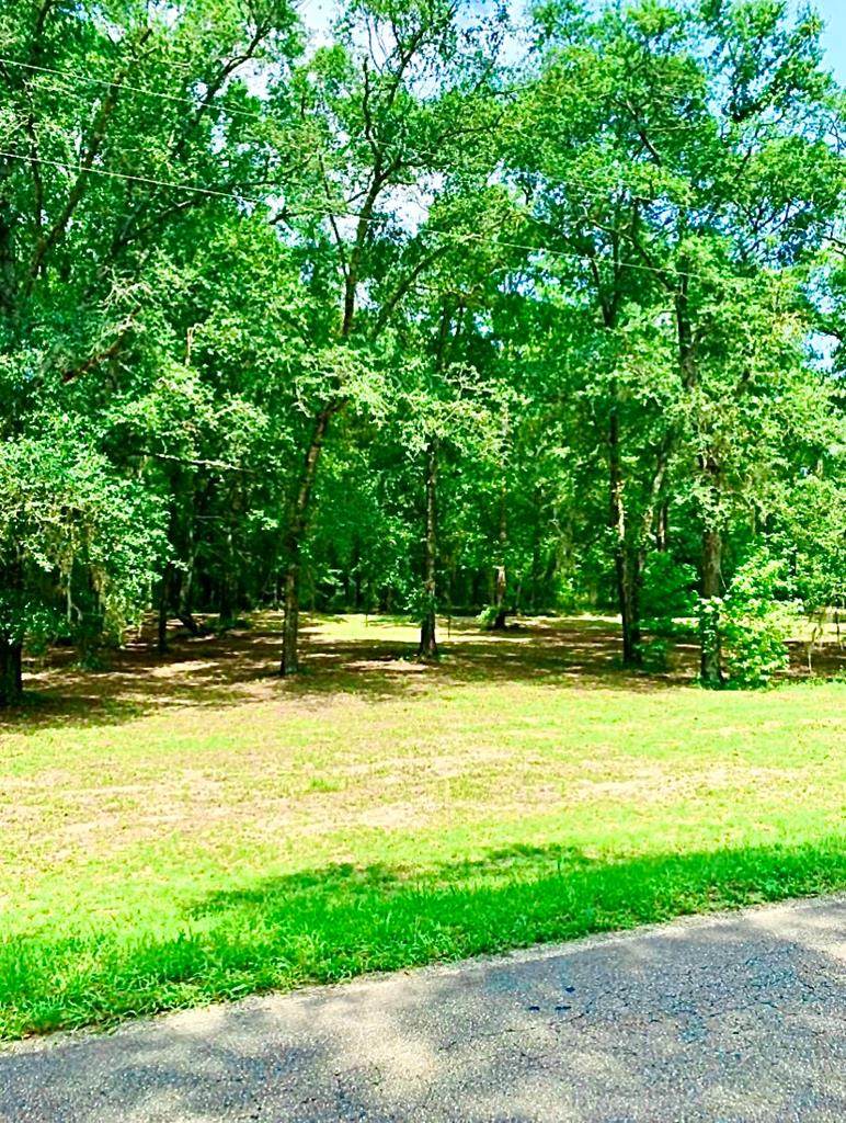 0 County Road 53 - Photo 1