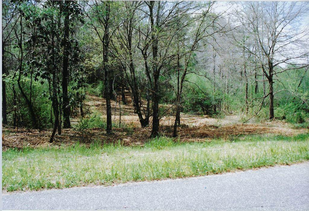 0 County Road 11 Lot 14 - Photo 1