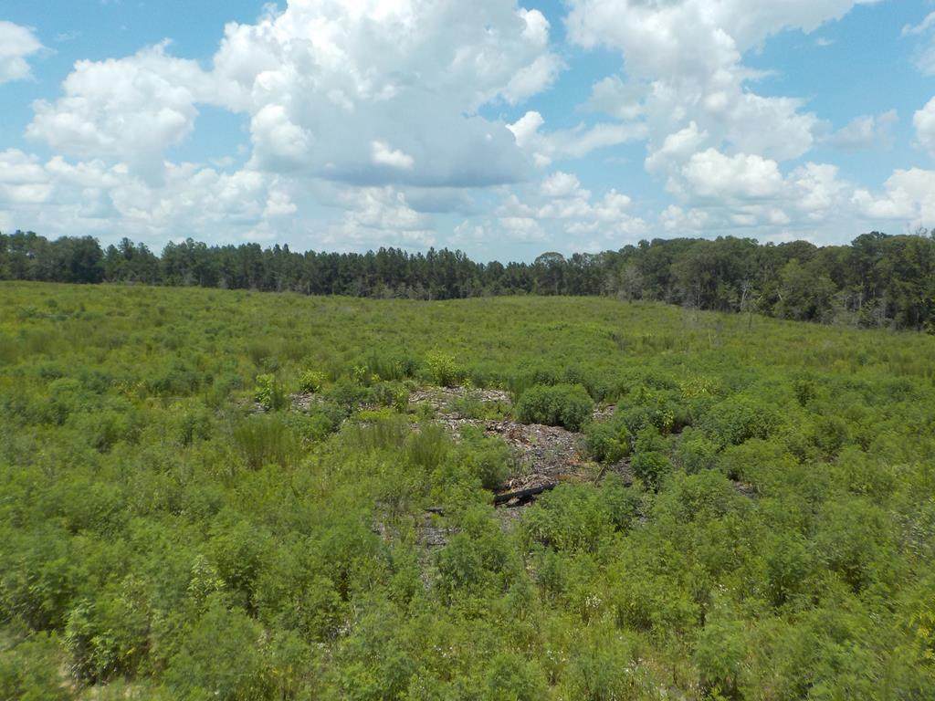 7.13 +-ac Cty Rd 18 - Photo 1