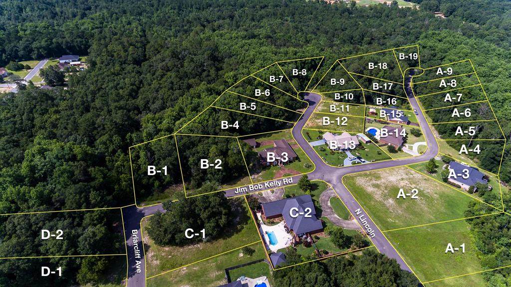 0 N. Pridgen St. Lot D1 - Photo 1