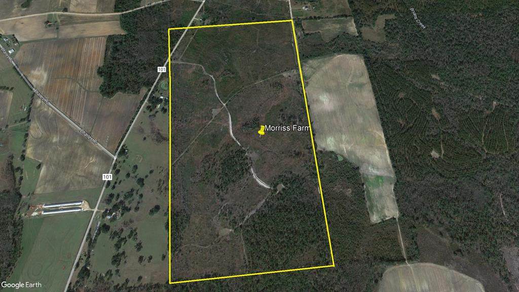 5801 Springhill Road - Photo 1