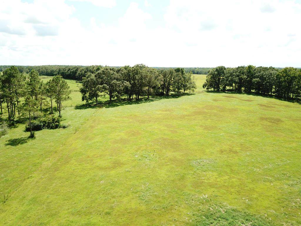 8 Acres County Rd 4 ( 8 Acres ) - Photo 1