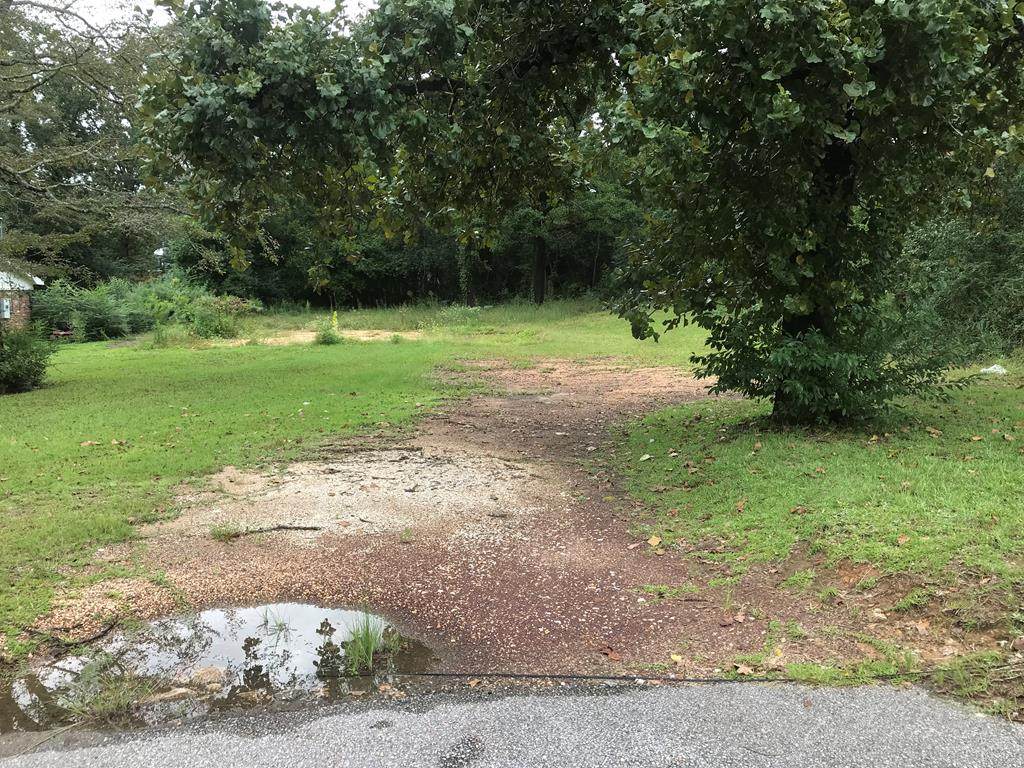 1182 Park - Photo 1