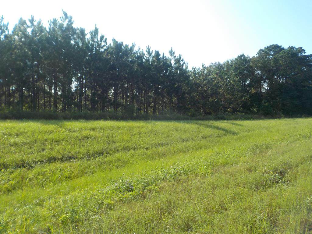4+-ac Hwy 431/Cty Rd 18/ Cty Rd 122 - Photo 1