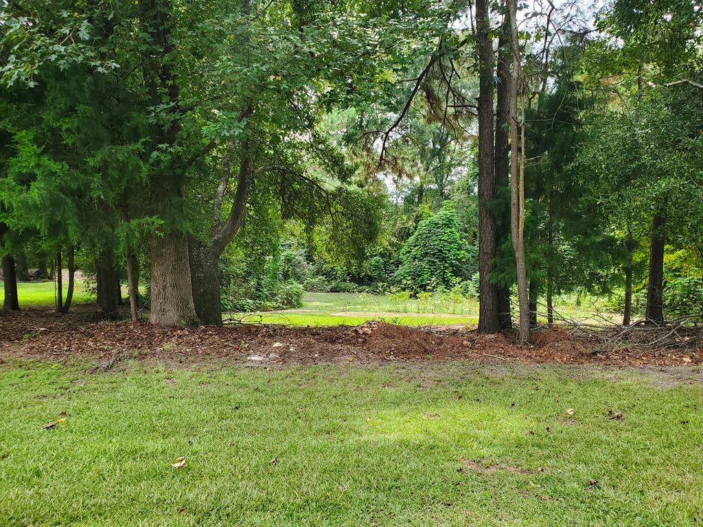 0 Riverview Drive - Photo 1