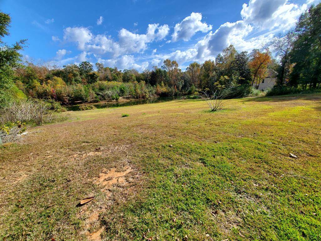113 Whispering Oaks Trail - Photo 1